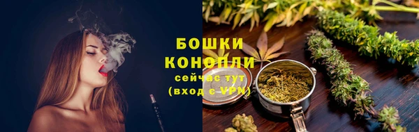 PSILOCYBIN Кукмор