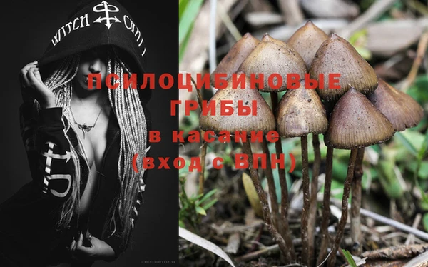 PSILOCYBIN Кукмор